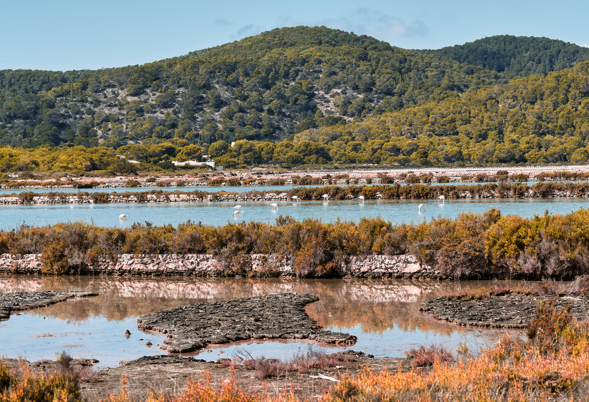 Naturpark Ses Salines auf Ibiza